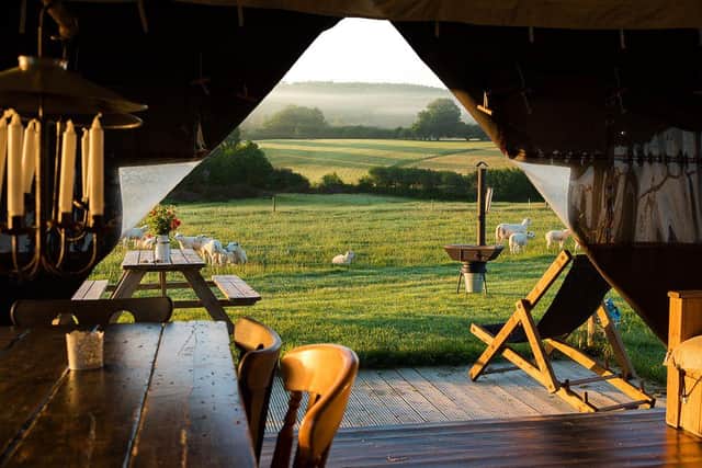 Glamping in nature
