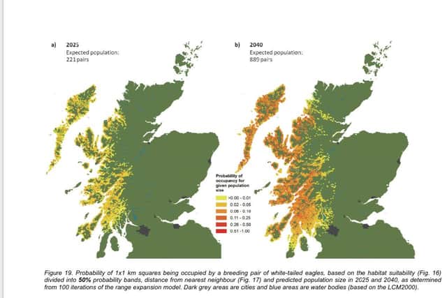 A map showing the predicted increase in the number of pairs of sea eagles expected by 2040 according to NatureScot (pic: NatureScot)