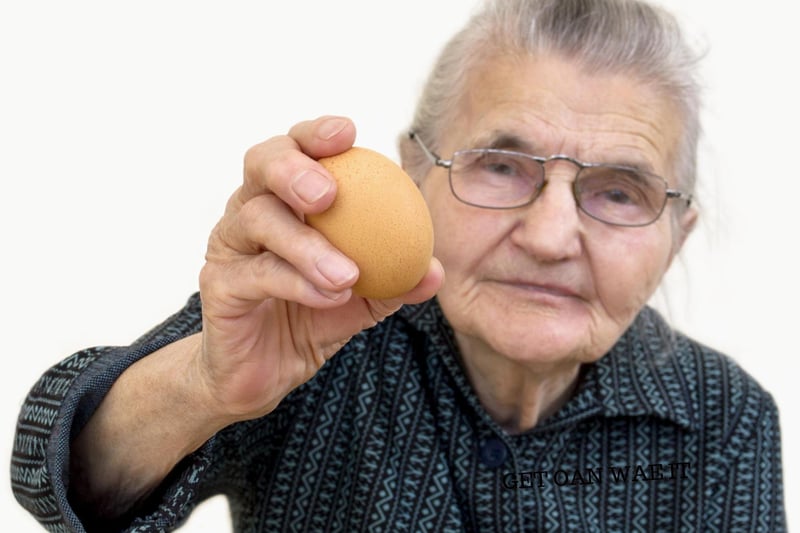 This means that you shouldn't teach someone something that they already know, particularly if you're doing so condescendingly. In this case with her old age it should be expected that your granny knows how to suck an egg!