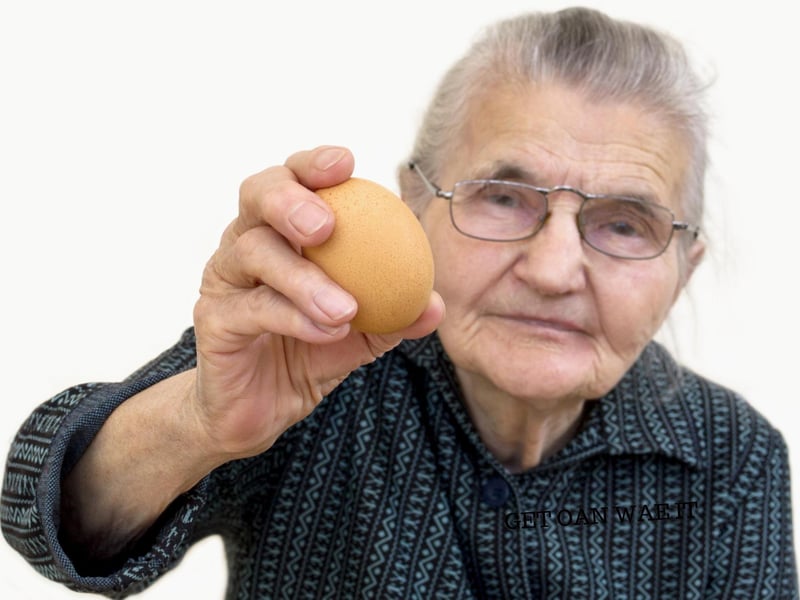 This means that you shouldn't teach someone something that they already know, particularly if you're doing so condescendingly. In this case with her old age it should be expected that your granny knows how to suck an egg!