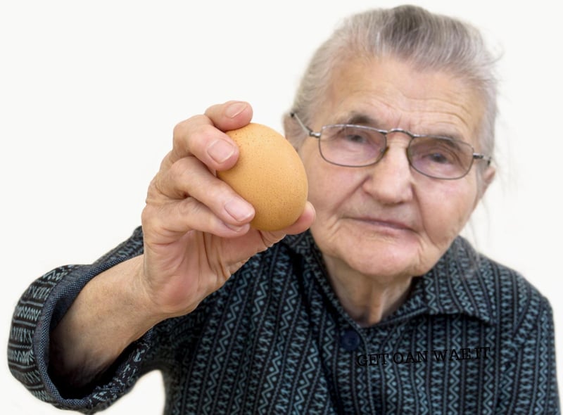This means that you shouldn't teach someone something that they already know, particularly if you're doing so condescendingly. In this case with her old age it should be expected that your granny knows how to suck an egg!