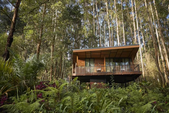 One&Only Gorilla's Nest has some rooms on stilts among the trees.