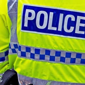Police seize a dog who attacked a child in Birmingham