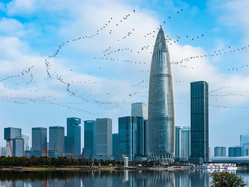 URBAN PARADISE
Great Cormorant Phalacrocorax carbo. Shenzhen, China. Xiaoke Wang, China. Category: Urban Birds.
SILVER AWARD WINNER.
From October to March, Shenzhen is a wintering ground for over 100,000 migratory birds. In January 2022, tens of thousands of Great Cormorants were spotted flying over Talent Park, adding to the area’s avian diversity.
Canon EOS R5 with Canon 35mm f/1.4 II lens. 35mm; 1/8,000s; f/5; ISO 1,000.