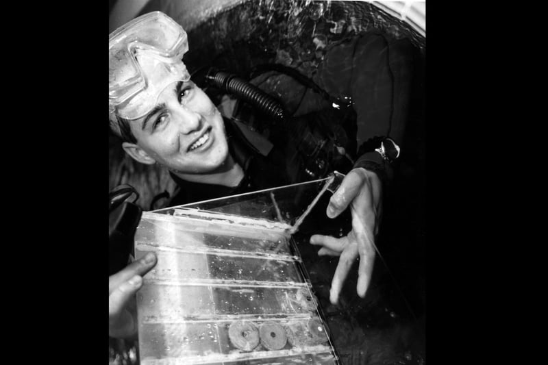 Ashton Rietiker aged 20 of Portsmouth University Sub Aqua Club lines up for a game of underwater connect four in November 1994. The News PP4240