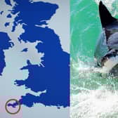 After being bitten by a Shark in British waters, the female swimmer was met by paramedics at Penzance Harbour in Cornwall.