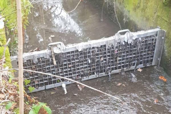 Pollution, in the form of items like wet wipes and sanitary products, in a Midlothian burn