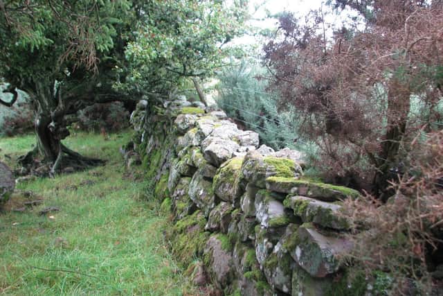 The surviving boundary wall of Culloden Parks. PIC: HES.