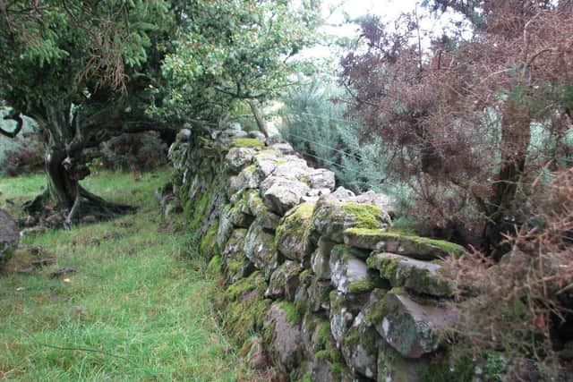 The surviving boundary wall of Culloden Parks. PIC: HES.