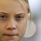 Climate change activist Greta Thunberg has openly shared her thoughts about attending COP26 on Twitter. Photo: AP Photo/Markus Schreiber, File