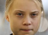 Climate change activist Greta Thunberg has openly shared her thoughts about attending COP26 on Twitter. Photo: AP Photo/Markus Schreiber, File
