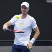 Andy Murray faces Matteo Berrettini in the first round of the Australian Open.