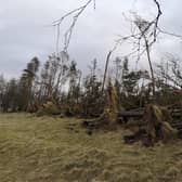 Storm Otto is the first named storm of the current season. There had been six by the end of February 2022. Picture: Mike Hardy