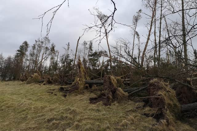 Storm Otto is the first named storm of the current season. There had been six by the end of February 2022. Picture: Mike Hardy