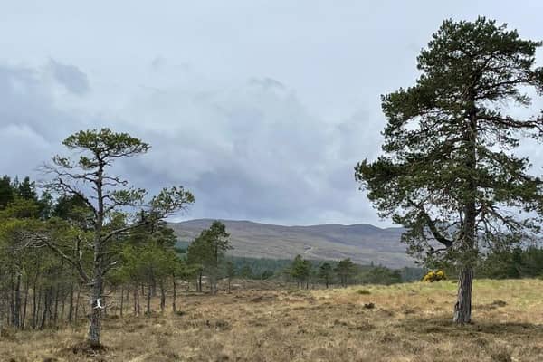 Tha Riaghaltas na h-Alba air co-chomhairleachaidh a chur air dòigh air margaidh an fhearainn.