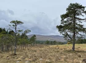 Tha Riaghaltas na h-Alba air co-chomhairleachaidh a chur air dòigh air margaidh an fhearainn.