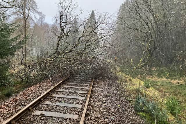 A tree blocking the Glasgow-Mallaig West Highland Line at Arrochar, near Loch Lomond, after Storm Isha. (Photo by Network Rail Scotland)
