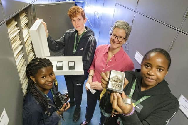 Bernice Nwagu (pictured holding the specimen) was the lucky youngster to digitise the specimen