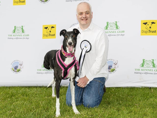Joy, the Greyhound, with Mark Ruskell MSP attends this year's Holyrood Dog of the Year competition. Picture: Euan Cherry/PA Wire