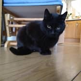 A cat has been reunited with its family after going missing almost four years ago.