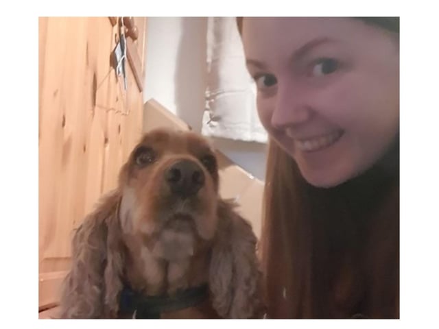 Central Scotland MSP Gillian Mackay thinks Alfie the Cocker Spaniel is a leading contender, explaining: "Alfie is a former rescue dog and would like to use Holyrood Dog of the Year 2022 to encourage people to adopt rather than shopping. Alfie has been to visit constituents and would make a brilliant pawlitician. Did we mention he is very, very cute?"