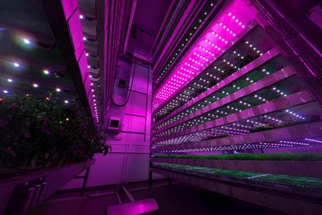 Crops being grown at the research centre at Invergowrie.