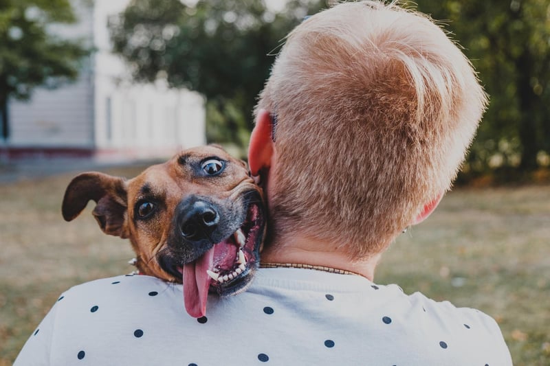 If you had too much sugar as a child (or too much alcohol as an adult, possibly) then chances are you were “acting feel”. If you’re told you’re “acting feel” then it means you’re behaving foolishly or in a silly manner.