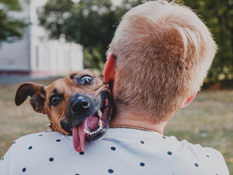 If you had too much sugar as a child (or too much alcohol as an adult, possibly) then chances are you were “acting feel”. If you’re told you’re “acting feel” then it means you’re behaving foolishly or in a silly manner.