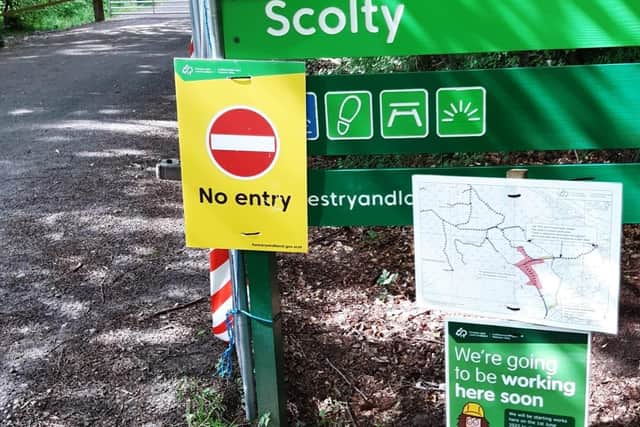 It's hoped Scolty Woods will reopen in a matter of weeks.