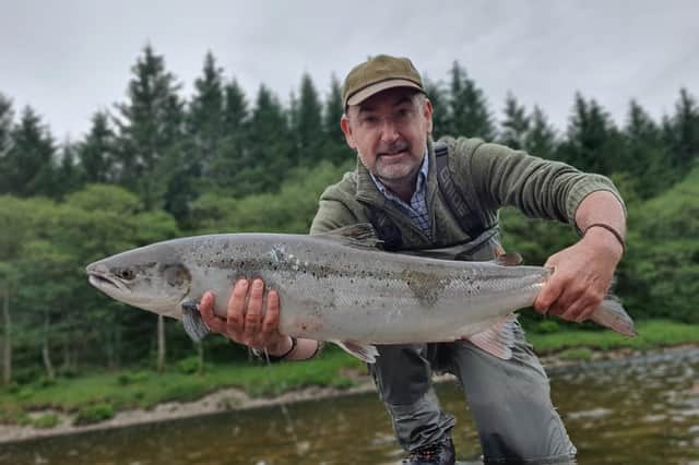 Wild salmon are becoming increasingly rare in many rivers in Scotland