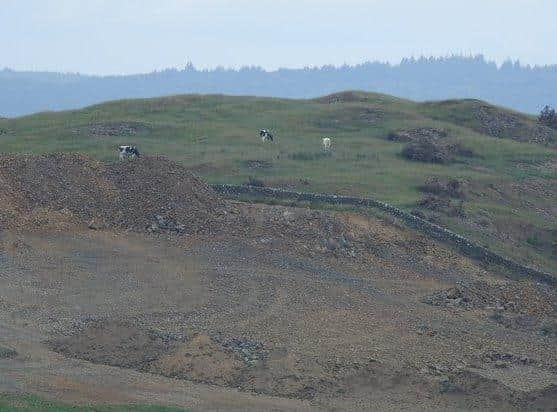 The Scotsman understands the large scale levelling out of the land is being carried out by multiple large dairy farms in Dumfries and Galloway (pic: supplied)