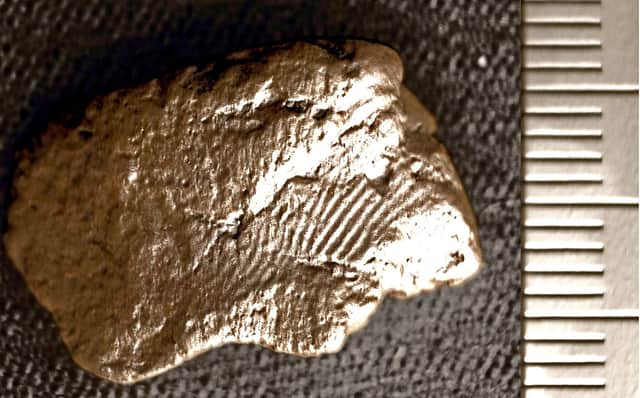 The potter's fingerprint on the sherd of clay found at the Ness of Brodgar site in Orkney.  PIC: UHI Archaeology Institute.