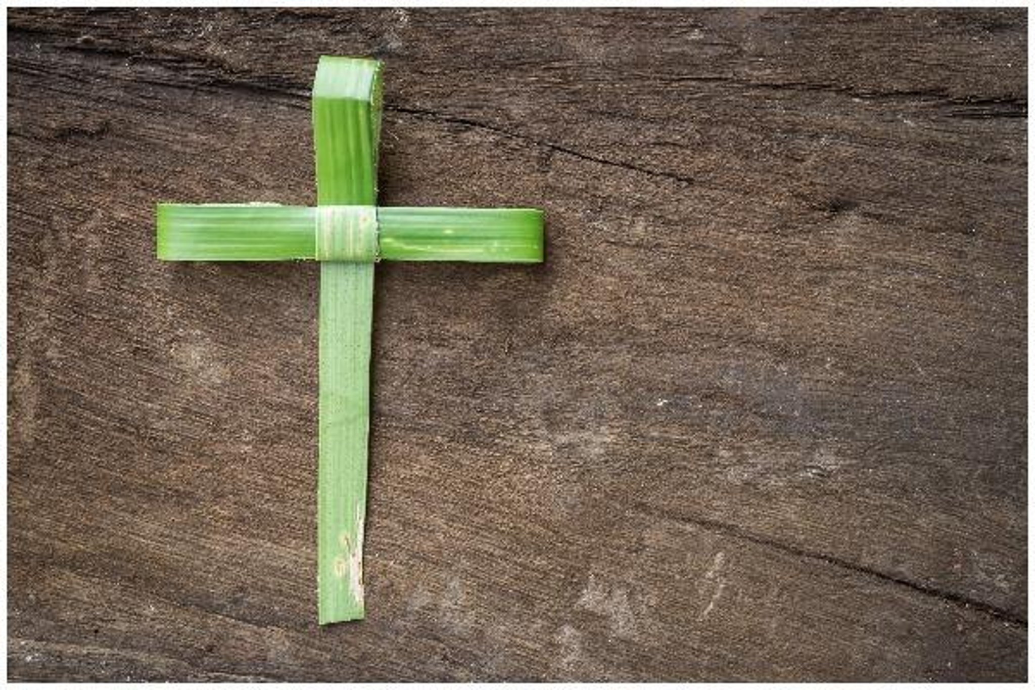 Palm Sunday 2020 When Is The Christian Feast Marking Start Of The Holy Week Story Behind It And Songs And Activities For Kids The Scotsman