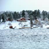 Scandinavian countries like Sweden and Finland have taken to using heat pumps instead of gas boilers to a far greater extent than the UK (Picture: Olivier Morin/AFP via Getty Images)