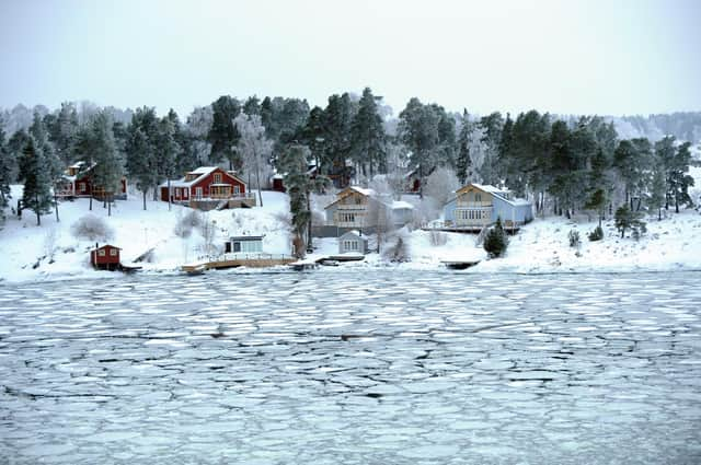 Scandinavian countries like Sweden and Finland have taken to using heat pumps instead of gas boilers to a far greater extent than the UK (Picture: Olivier Morin/AFP via Getty Images)