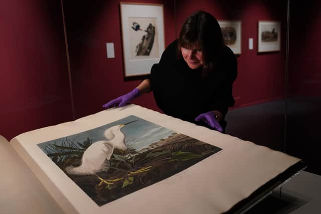 Installation view of Audubon's Birds of America at the National Museum of Scotland PIC: Stewart Attwood