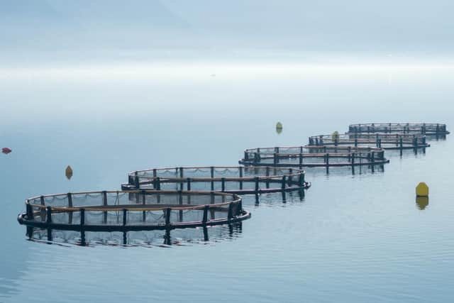 Salmon farming in Scotland