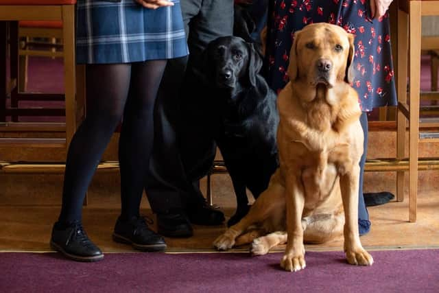 Resident dogs Max and Bria welcome canine visitors too.