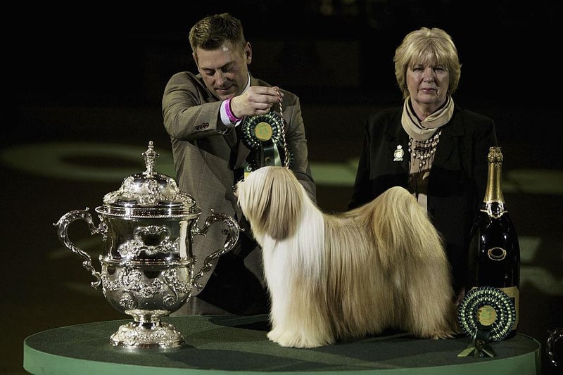 Handler Larry Cornelius and Judge Zena Thorn Andrews with the 2007 Crufts champion, a Tibetan Terrier called Araki Fabulous Willy.