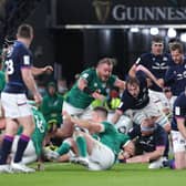 Conor Murray of Ireland goes over to score his side's fourth try during the Six Nations clash against Scotland.