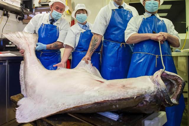 PIC LISA FERGUSON 14/09/2021
Gary Huckle, armstrong's fishmonger, stockbridge
130kilo halibut caught by the Aquarius off the west coast. Be on display in the shop from Tuesday am
l-r GARY HUCKLE, LYN BRYCE, DAVID SHAND, ZOLTAN ANTAL