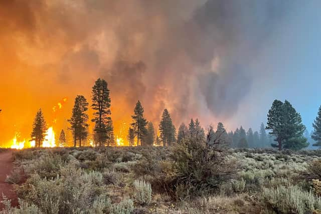 The Bootleg Fire burns near Bly, Oregon, amid record temperatures and drought (Picture: USDA Forest Service via Getty Images)