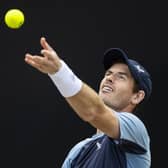 Andy Murray was clearly born to serve, although possibly not as First Minister (Picture: Tom Weller/dpa via AP)