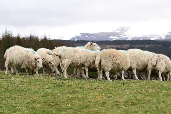 Concern raised over new figures showing low number of convictions in livestock worrying cases over the last year.
