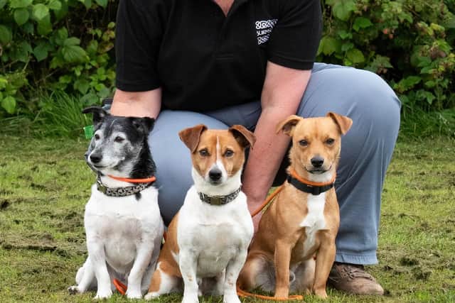 Tracey with Ron and her other pups