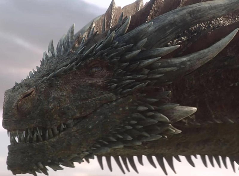 Vermithor is one of the largest dragons alive in House of the Dragon. Described as "hoary" and "old", he has not been ridden since King Viserys' predecessor, King Jaehaerys.