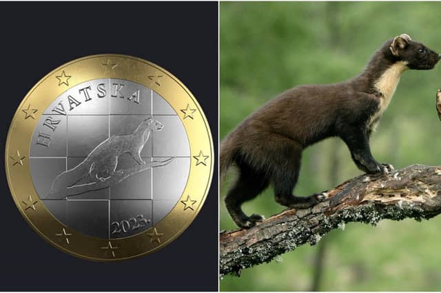 The design for a Croatian euro coin and Iain Leach's photograph (Picture: Iain Leach/SWNS)