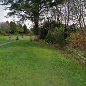 The project will tackle pollution and overgrowth at popular Denman Park ponds.