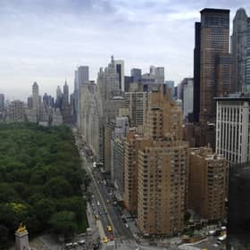 A general view of Central Park and the Manhatten skyline in New York .Photo: Joel Ryan/PA
