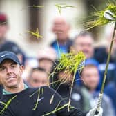 Four-time major winner Rory McIlroy escapes from a spot of bother at Royal Troon, where he opened with a seven-over-par 78. Picture: Tom Russo/The Scotsman